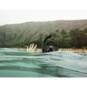 Nuzha Bukhari's photo
