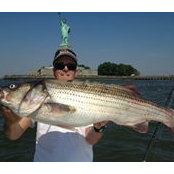 Bill Todd's photo