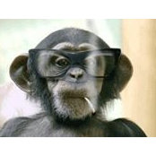 Foto de Mugisha Basasingohe

