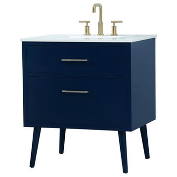 Elegant Decor Boise 30" Solid Wood and MDF Bathroom Vanity in Blue