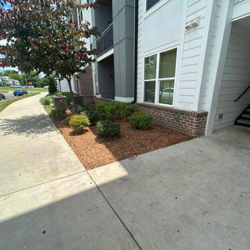 Fresh Pine Straw Installation & Landscape Maintenance