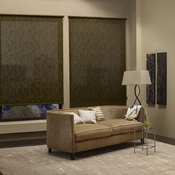 Living Room Ideas