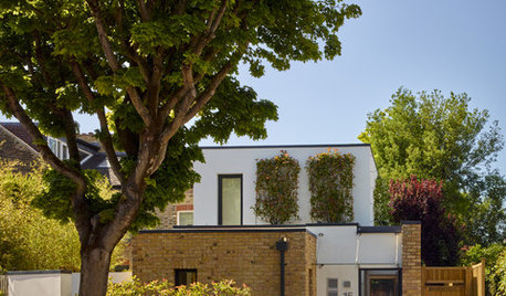 How Can an Eco Consultant Make My Home More Energy Efficient?