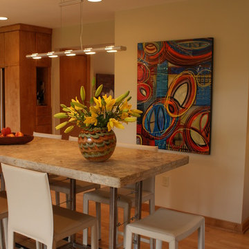 Mendota Heights Modern