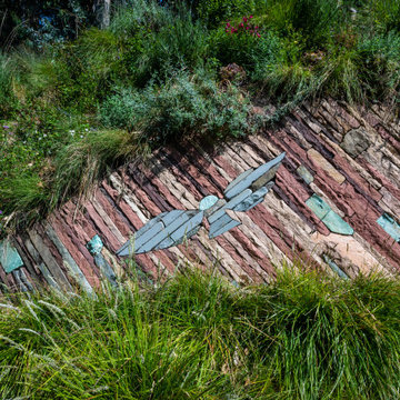 Fusing Art and Ecology