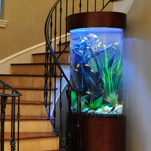 Aquarium