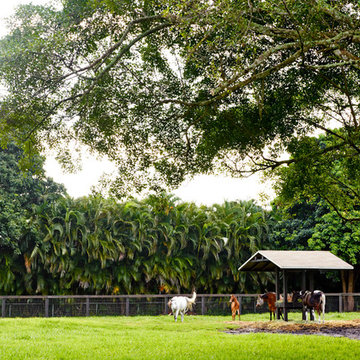 My Houzz: Blue Stallion Farm