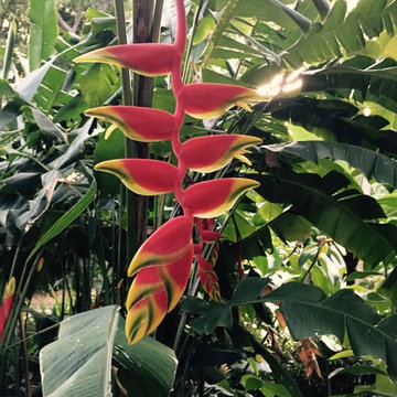 Florida Eclectic, Hurricane Impact & Sustainable Paradise