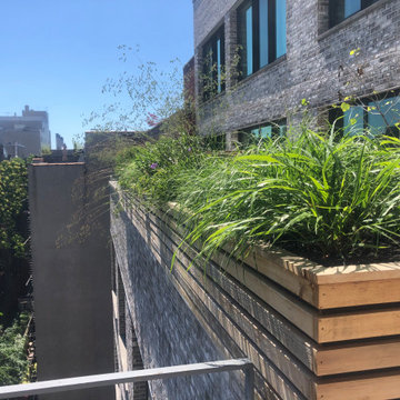 East Village Terrace