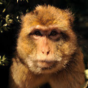 James Williams's photo