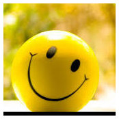 Elaine Nguyen's photo