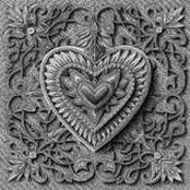 Leah McEvoy's photo