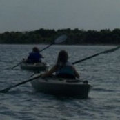 Sue Kelly-Harmon's photo