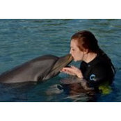 Julia Blazik's photo