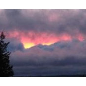 Bobbi Jacobson's photo