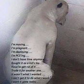 Rhonda Rogers's photo