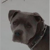 Debbie Taylor's photo