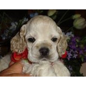 Katherine Maznik's photo