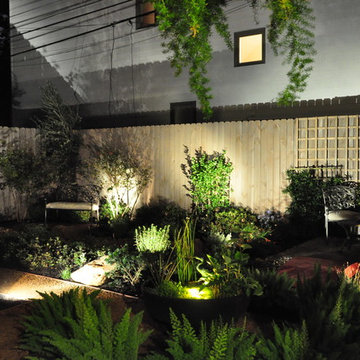 Contemporary grassless landscape in West University