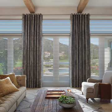 Silhouette Window Shadings