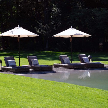 BioNova® Natural Swimming Pool - Danbury, CT