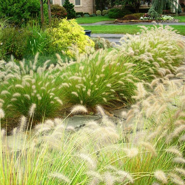 Arts & Crafts Garden, Bethesda