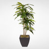 4ft Real Touch Dracaena Massangeana Tree in a Contemporary Metal Pot