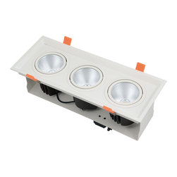 LED down light - Ceiling Lighting