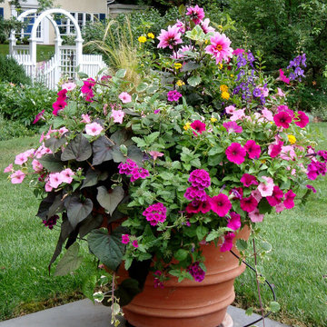Container Planting Designs