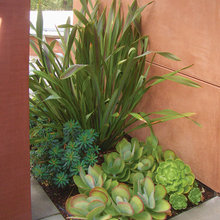 laura_melbourne's Ideas