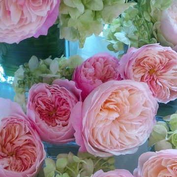 Blooms by Broadway Botanicals