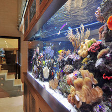 aquarium