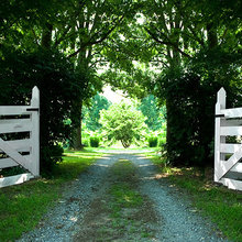 front yard