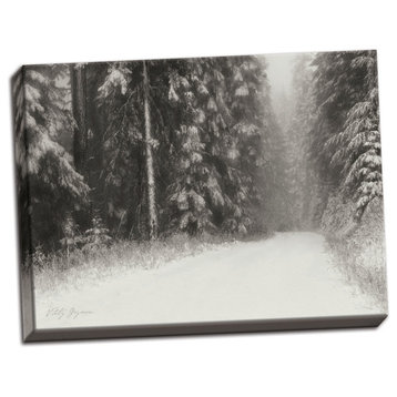 Fine Art Photograph, Winter Pine Tree Paradise B&W, Hand-Stretched Canvas