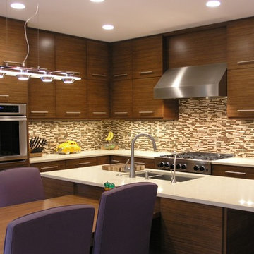 Contemporary Zebrawood Kitchen