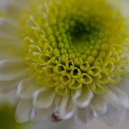 Photos for canvas prints/wall decor - Products