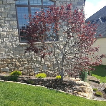Des Peres New Build