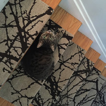 staircase
