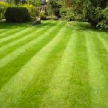 Our Work