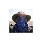 Nick Hess's photo