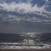 Kathy Mallon's photo