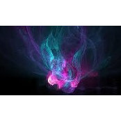 Cindy Olexson's photo