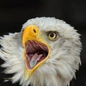 Kenne Holt's photo