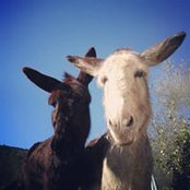 Lisbeth Runa's photo