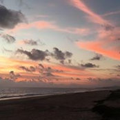 Sara Gurley's photo