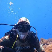 Marco Rossi's photo