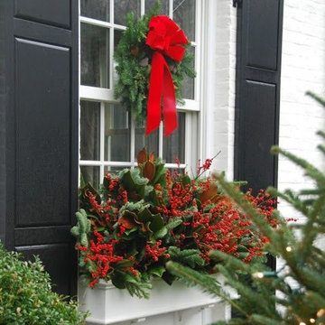 Winter Windowboxes