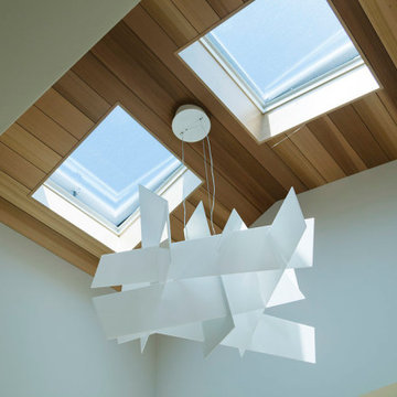 Bobcat House