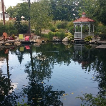 Pond Ideas