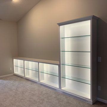 Contemporary Condo Bookcase